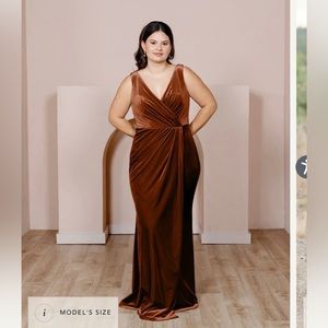 Revelry Blair Rust Velvet Dress 12P